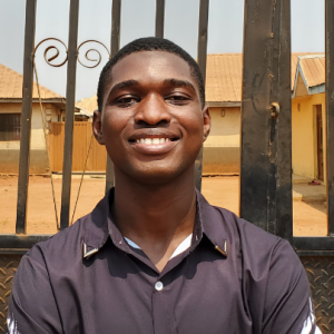 Abiodun Micheal-Freelancer in Abuja,Nigeria