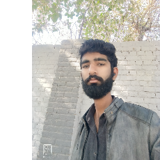 Abdul Basit-Freelancer in Lahore,Pakistan