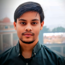 Bipul Kumar-Freelancer in Patna,India