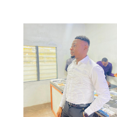 Aghogho Avwunuvwerhi-Freelancer in Lagos,Nigeria