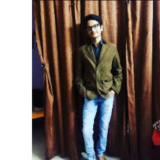 Kushagra Arora-Freelancer in Gwalior,India