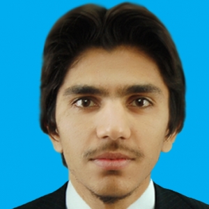 Ahsen Javaid Paracha-Freelancer in Peshawar,Pakistan