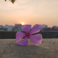 FARIA LAFRIN MARFI-Freelancer in Panchagarh,Bangladesh