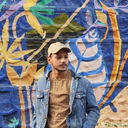 Zeeshan Ansari-Freelancer in Bengaluru,India