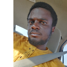 Sani Al-ameen-Freelancer in Abuja,Nigeria