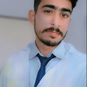 Zain Hasan-Freelancer in BAHALWANAGAR,Pakistan