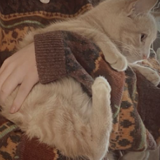 Loujain Saidani-Freelancer in Menzel Bourguiba,Tunisia