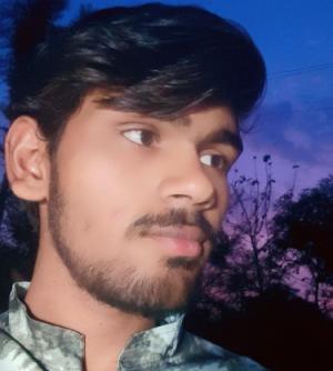 Shubham Ahirwar-Freelancer in Patharia jegan,India