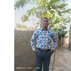 Richard Bukar-Freelancer in Abuja,Nigeria