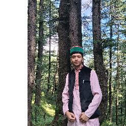 आयुष शर्मा-Freelancer in Shimla,India