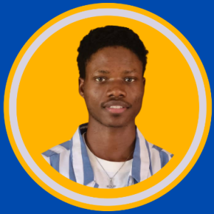 Awogbola Oluwadamilare-Freelancer in Lagos,Nigeria