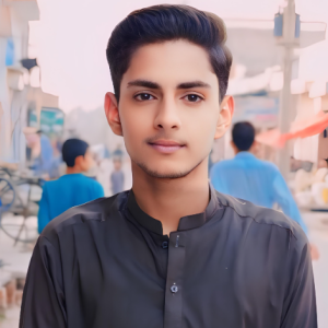 Faizan Ahamd-Freelancer in Lalian,Pakistan