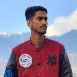 Danish Bashir-Freelancer in Srinagar,India