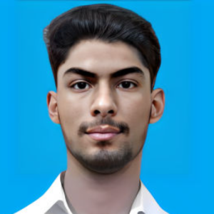 Muhammad Shaheer Jamal Chishti-Freelancer in Karachi,Pakistan