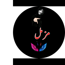 Mian Saleem-Freelancer in Chak 29/2R,Pakistan