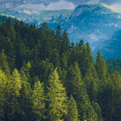 Tanmoy Guin-Freelancer in Kolkata,India