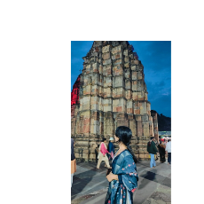 Prachi Kushwah-Freelancer in Indore,India