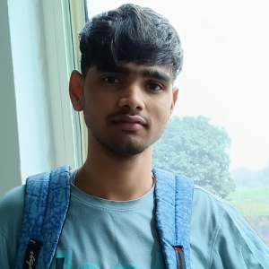 varun gautam-Freelancer in Bulandshahar,India