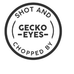 Gecko Eyes-Freelancer in Port Harcourt,Nigeria
