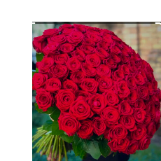 Rachana Samanta-Freelancer in Kolkata,India