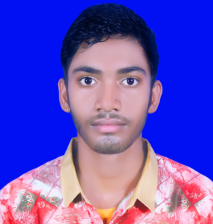 Md Mobarak Mondal-Freelancer in BANGLADESH,Bangladesh