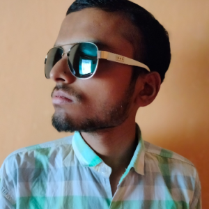 Avijit Gupta-Freelancer in Kolkata,India