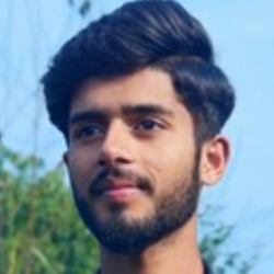 Muhammad Zain-Freelancer in Shakargarh,Pakistan