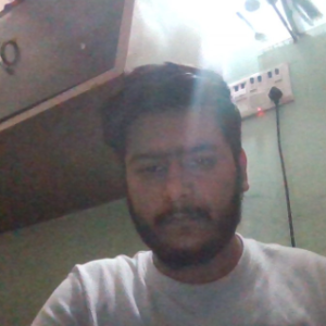 Ritik Jaat-Freelancer in Rohtak,India