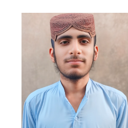 Usman Nazeer-Freelancer in Shujabad,Pakistan