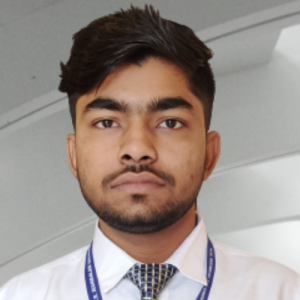 Rohit Kumar-Freelancer in Noida,India