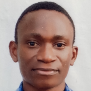 Adeyemi Adetunji-Freelancer in Lagos,Nigeria