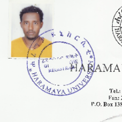 Meaza H/lassie-Freelancer in Mek'ele,Ethiopia