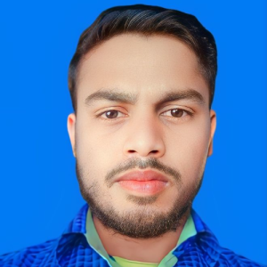 Balmiki Kumar-Freelancer in Patna,India