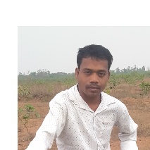 Santosh kumar Parida-Freelancer in KHORDHA,India