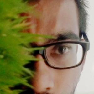 Chetan Bedase-Freelancer in Pune,India