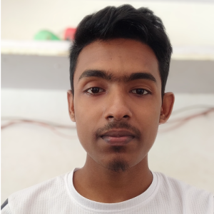 Tanvir H.-Freelancer in Bhola District,Bangladesh