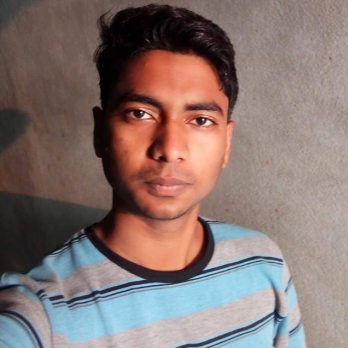 Danish Khan-Freelancer in Noida,India