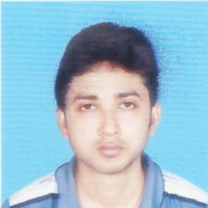 Anjan Roy-Freelancer in kalyangarh,India