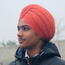 Harsimran Brar-Freelancer in kotkapura,India