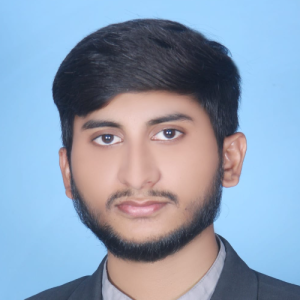 Muhammad Imran Arshad-Freelancer in Faisalabad,Pakistan