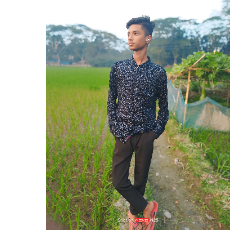 Likhon Halder-Freelancer in Likhon Last,Bangladesh