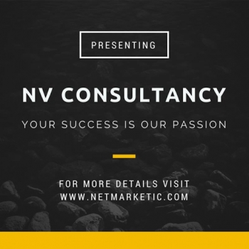 Nv Consultancy-Freelancer in Pune,India