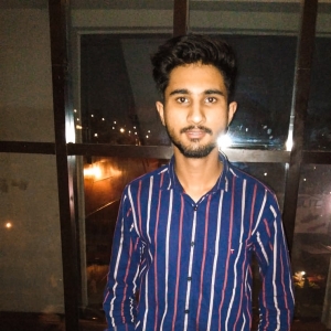 Akash Bhatia-Freelancer in Hisar,India