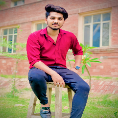 Asim Hayat-Freelancer in Faisalabad,Pakistan