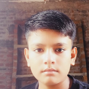Ranoo Singh-Freelancer in hisar,India