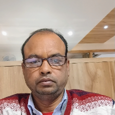 Ashok Sinha-Freelancer in Udaipur,India