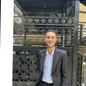 Ibraheem Mustafa Aly-Freelancer in Cairo,Egypt