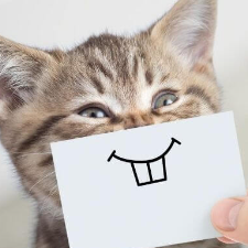 Indra Dhandapani-Freelancer in Chennai,India