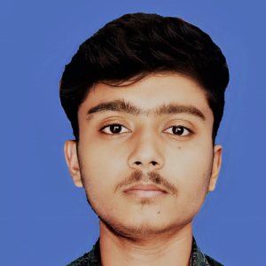Sunny Kumar-Freelancer in Nawada,India