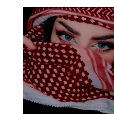 Zaini Queen-Freelancer in Liaquatpur,Pakistan